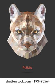 Koala vector polygon geometric