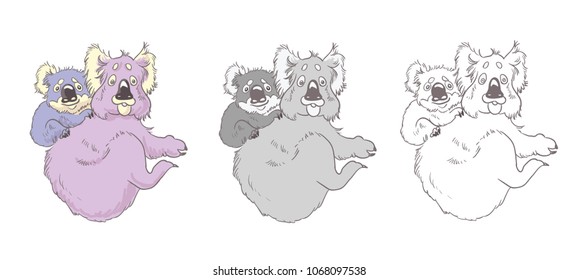 Koala vector set. Vector illustration is isolated on background