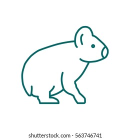 Koala Web line icon.