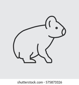 Koala Web line icon.