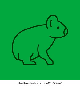 Koala Web line icon.