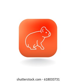 Koala Web line icon.