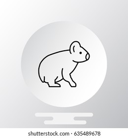 Koala Web line icon.