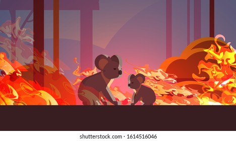 Koalas Escaping From Fires In Australia Animals Dying In Wildfire Bushfire Natural Disaster Concept Intense Orange Flames Horizontal Vector Illustration