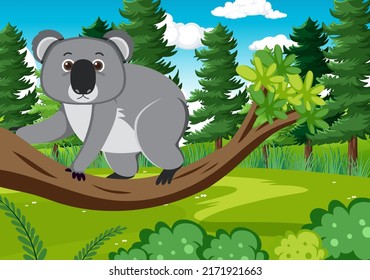 Koalas in the forest background illustration