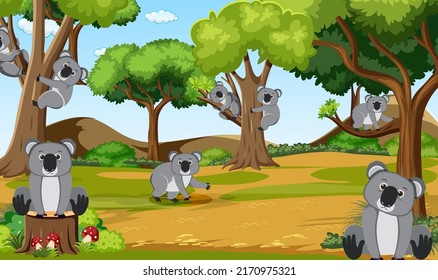 Koalas in the forest scene illustration