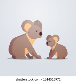 koalas icon cute cartoon wild animals mother with young joey symbol wildlife species fauna concept flat vector illustration