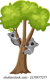 Koalas on tree cartoon character illustration