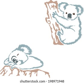 Koalas Relaxing