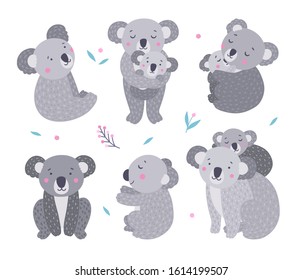 Koalas vector set. Funny gray bears living in Australia. Nature wildlife adorable characters