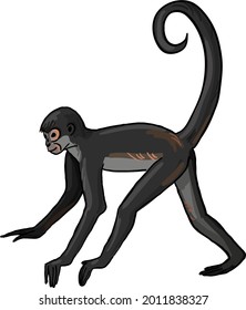 koato arachnid monkey vector image