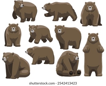 Kodiak Bear Standing Various Poses Cute Cartoon Vector Character