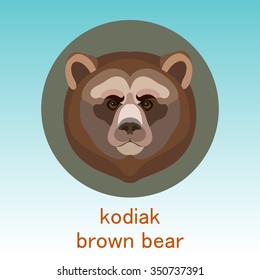 Kodiak brown bear. Face flat icon design. Animal icons series.