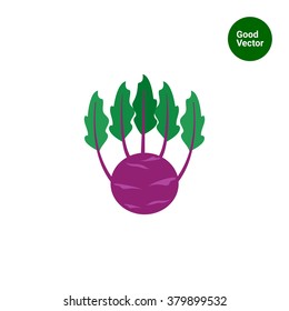Kohlrabi cabbage icon