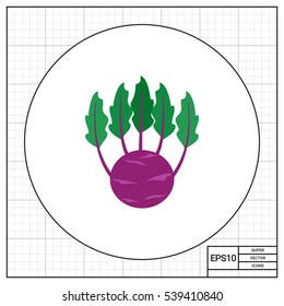 Kohlrabi cabbage icon