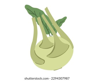 Basura de Kohlrabi aislada en un fondo blanco. Ilustración del vector