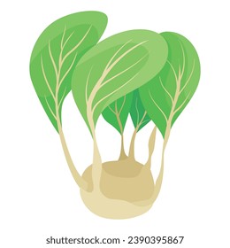 Kohlrabi cabbage turnip cartoon vegetable with green leaves root ripe edible plant vector flat illustration. Harvest organic healthy food with stem vegetarian cultivated whole agriculture nutrition