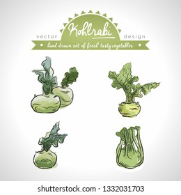 Kohlrabi Collection of fresh vegetables with leaf. Vector illustration. Isolated	