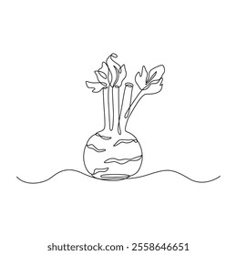 Kohlrabi drawn in continuous line in minimalism, healthy eating, vegetarianism, vegetable, garden plant, root vegetable, cabbage, one line, editable vector contour