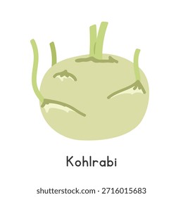 Ilustración vectorial plana de dibujos animados Kohlrabi aislada sobre fondo blanco