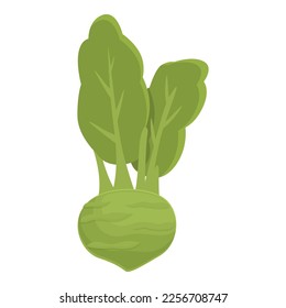 Kohlrabi food icon cartoon vector. Organic plant. Cabbage turnip