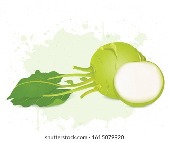Kohlrabi with half piece of kohlrabi vector illustration 