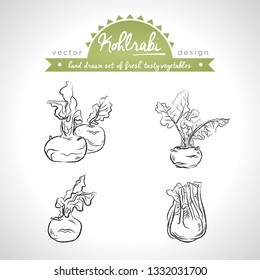 Kohlrabi. Hand drawn collection of vector sketch detailed fresh vegetables. Isolated	