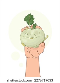 Kohlrabi. Kohlrabi in hand. A vegetable in a human hand. Healthy food. Isolated vector illustration white background.
