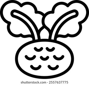 Kohlrabi Icon. Thin Line Kohlrabi Icon