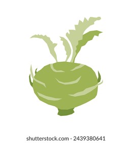 Kohlrabi isolate icon. Minimalistic style, primitive cut pattern vector.