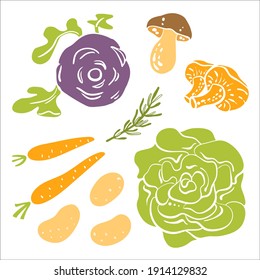 Kohlrabi, mushrooms, carrots, lettuce, potatoes, rosemary. Colorful sketch collection of salad vegetables and herbs isolated on white background. Doodle hand drawn vegetable icons. Vector illustration