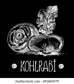 Kohlrabi on chalkboard. Vector hand drawn graphic illustration. Sketchy style.
