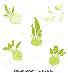 Kohlrabi pattern set. Green Kohlrabi cabbage vector illustration. Whole kohlrabi, sliced, cut, leaves, pieces