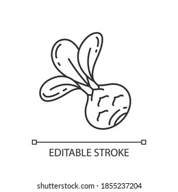 Kohlrabi pixel perfect linear icon. Organic vegetables types. Healthy cabbage. Thin line customizable illustration. Contour symbol. Vector isolated outline drawing. Editable stroke