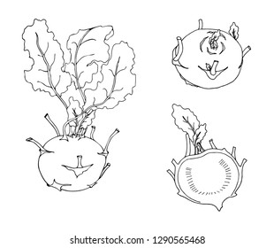Kohlrabi set, vector isolated illustration 