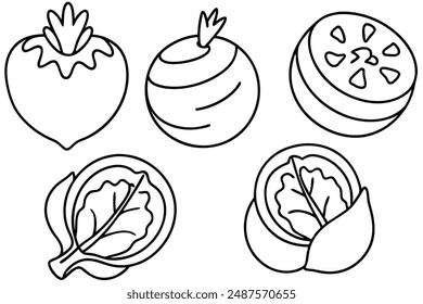 Kohlrabi Slice Line Art Creation