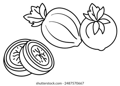 Kohlrabi Slice Line Art Vision