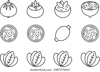 Kohlrabi Slice Line Art Visualization