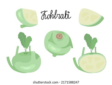 Kohlrabi. Whole, half and piece. Flat style. Vector illustration