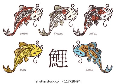 Koi carp breeds classification, with japanese hieroglyph "carp"