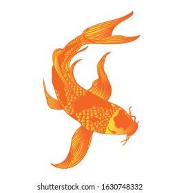 koi carp cartoon illustration doodle isolated on white