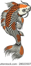 A koi carp coy fish. An original illustration in a vintage Japanese painting art style.