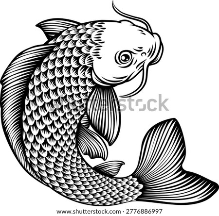 A koi carp coy fish. An original illustration in a vintage Japanese woodcut art style.