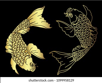 Koi carp fish isolate vector.