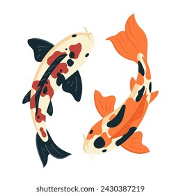 Koi carp fish. Japanese koi carp fish, cute oriental fish koi, swimming carps flat vector symbols illustration. Asian colorful koi fish