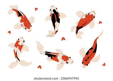 Koi carp fish set. Minimal koifish icons, colorful cartoon oriental carps decorative elements for print design, flat underwater characters. Vector collection.