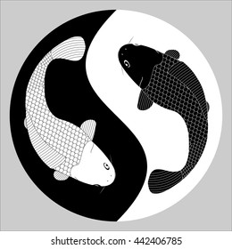 Koi ( Carp ) Fish in Yin Yang Symbol - a contrast balance meaning ( vector illustrator eps10 )