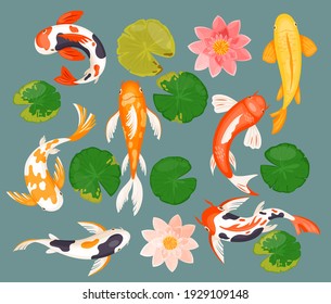 Koi carp fishes, asian prosperity fortune lucky symbol vector illustration. Cartoon swimming underwater aquatic fish, pink lotus flower, green round leaf, flat collection isolated on blue background