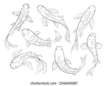 Koi carp fishes. Vector icon set of hand drawn traditional japanese gold carp in pond with lotus, water lily. Japanese oriental garden with goldfish for posters, cards, banners, book, pattern, web. 