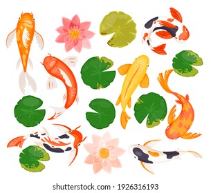 La carpa de Koi pesca la ilustración vectorial. Caricatura nadando peces dorados coloridos, flor rosa de lirio de loto, hoja verde tropical, animales y plantas naturales de estanque natural asiático aislado en blanco